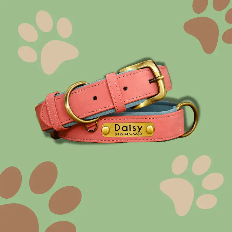 Collier pour Chien en Cuir Personnalisé Les pattes malines