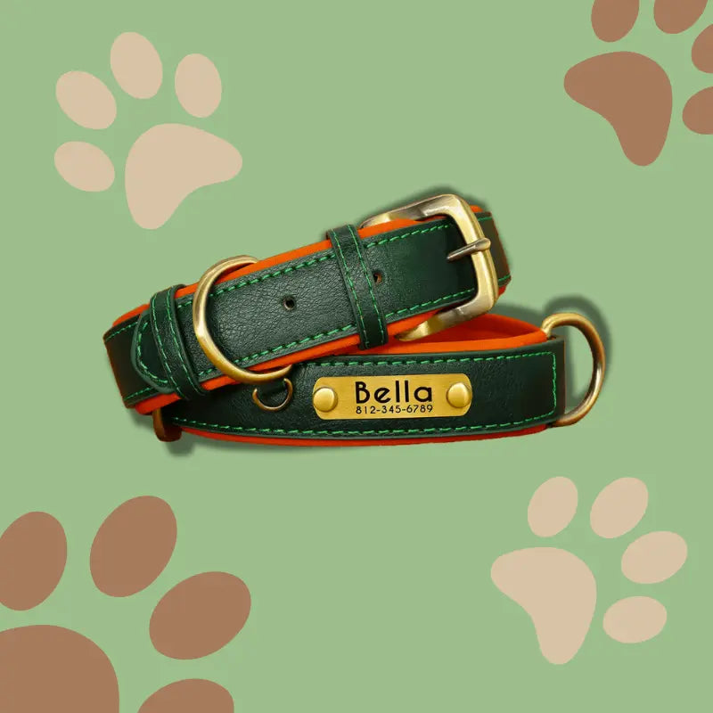 Collier pour Chien en Cuir Personnalisé Les pattes malines